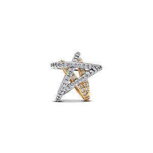 Charm Estrela Brilhante Em Dois Tons
