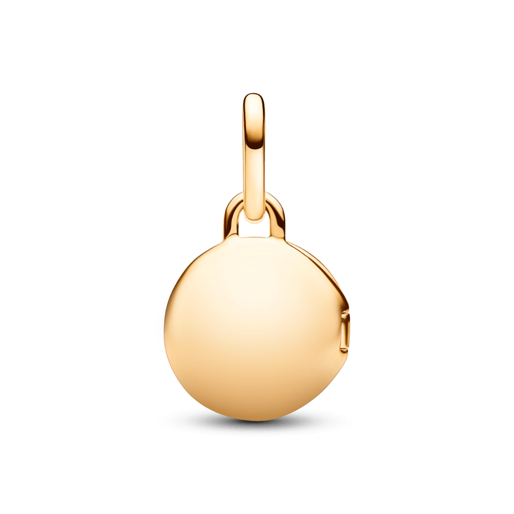 763066C01_2.png