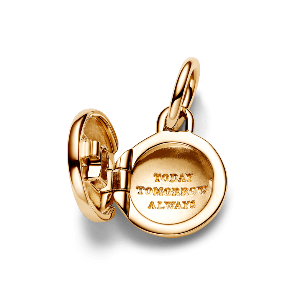 763066C01_4.png