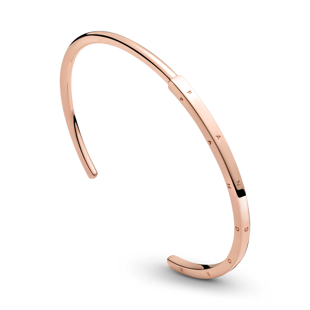 PNGTRPNT_589493C00_V3_RGB.png