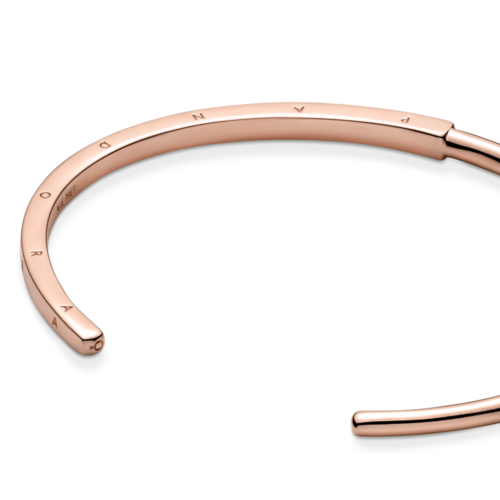 PNGTRPNT_589493C00_V4_RGB.png