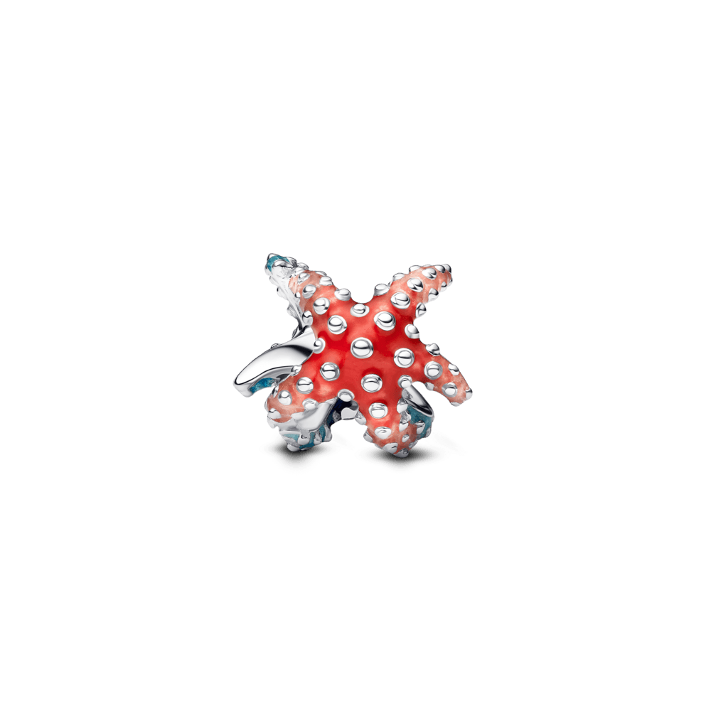 Charm-Prata-Estrela-Do-Mar-multicor-793817C01-v2.png